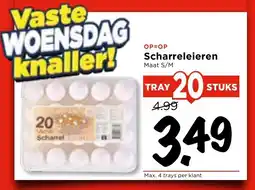 GAMMA Scharreleieren aanbieding