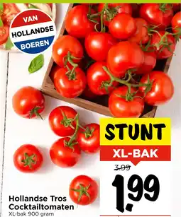 GAMMA Hollandse Tros Cocktailtomaten aanbieding