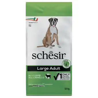 Zooplus 2x 12kg Schesir Dog Large Adult met lam droogvoer voor honden aanbieding