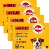Bol.com Pedigree Hondenvoer - Mix Selectie in Gelei - Maaltijdzakjes - 48x100g aanbieding