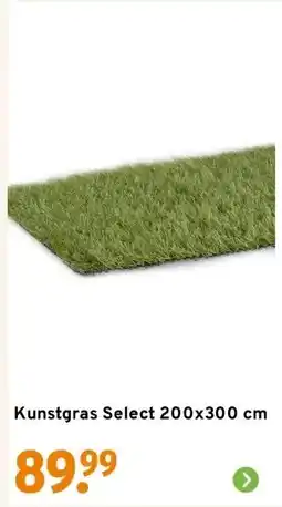 GAMMA Kunstgras Select 200x300 cm aanbieding