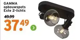 GAMMA GAMMA opbouwspots Este 2-lichts aanbieding