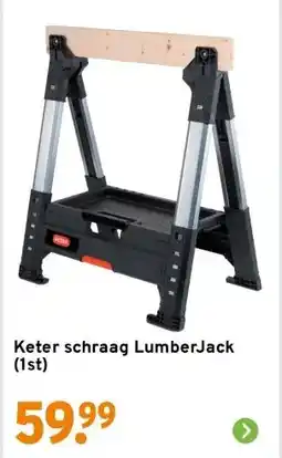 GAMMA Keter schraag LumberJack (1st) aanbieding