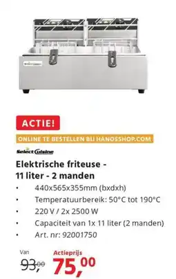 HANOS Elektrische friteuse 2 manden aanbieding