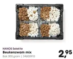 HANOS HANOS Selektie Beukenzwam mix aanbieding