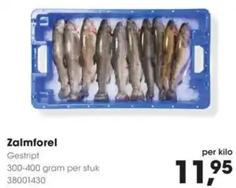 HANOS Zalmforel aanbieding