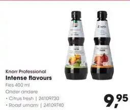 HANOS Knorr Professional Intense flavours aanbieding