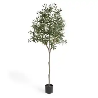 Action Kunst olijfboom aanbieding