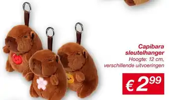 Kik Capibara sleutelhanger aanbieding