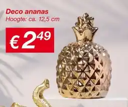 Kik Deco ananas aanbieding