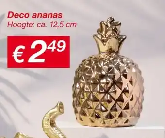 Kik Deco ananas aanbieding