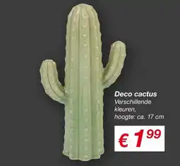 Kik Deco cactus aanbieding