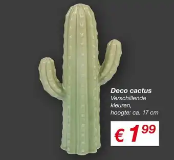 Kik Deco cactus aanbieding