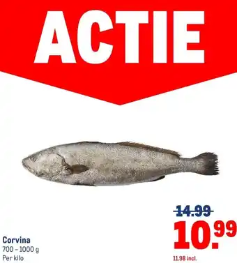Makro Corvina aanbieding