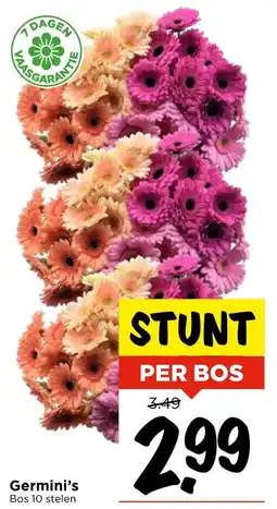 Vomar Voordeelmarkt Germini's Bos aanbieding