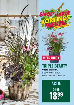 GroenRijk Triple beauty aanbieding