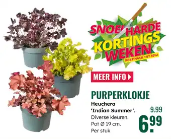 GroenRijk Purperklokje aanbieding
