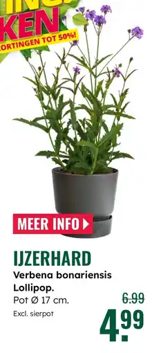 GroenRijk Ijzerhard aanbieding