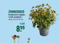 GroenRijk Zonnehoed aanbieding