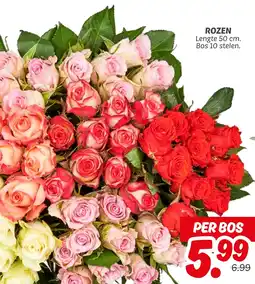 Dekamarkt Rozen aanbieding