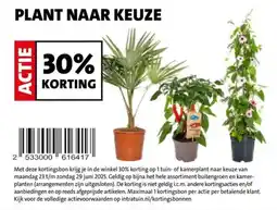 Intratuin Plant naar keuze aanbieding