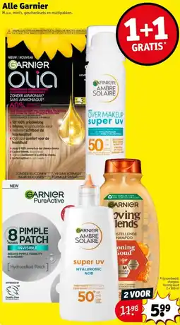 Kruidvat Alle Garnier aanbieding