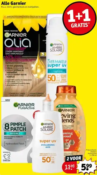 Kruidvat Alle Garnier aanbieding