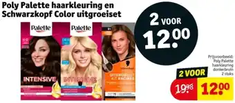 Kruidvat Poly Palette haarkleuring en Schwarzkopf Color uitgroeiset aanbieding