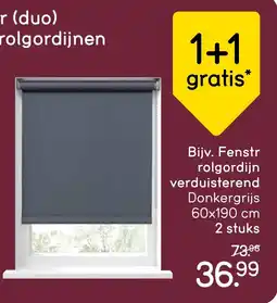 Leen Bakker Fenstr rolgordijn verduisterend aanbieding