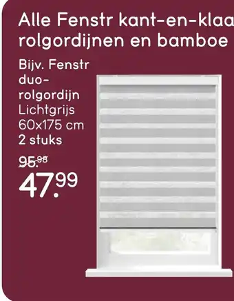 Leen Bakker Fenstr duo rolgordijn Lichtgrijs aanbieding