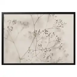 IKEA BjÖrksta ingelijste bloemsierkunst, sepia-getinte delicate takken in rechthoek aanbieding