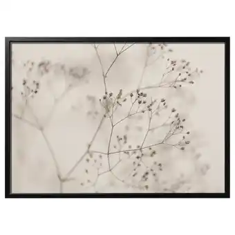 IKEA BjÖrksta ingelijste bloemsierkunst, sepia-getinte delicate takken in rechthoek aanbieding