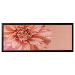 IKEA Het zwarte kader van bjÖrksta houdt helder roze bloem close-up beeld. Rechthoekig, strak ontwerp aanbieding