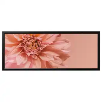 IKEA Het zwarte kader van bjÖrksta houdt helder roze bloem close-up beeld. Rechthoekig, strak ontwerp aanbieding