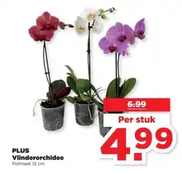 PLUS PLUS Vlinderorchidee aanbieding