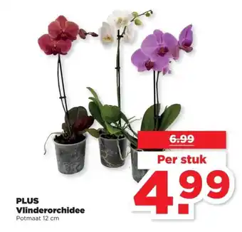 PLUS PLUS Vlinderorchidee aanbieding