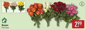 ALDI Rozen aanbieding