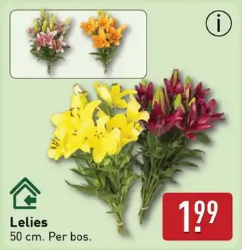 ALDI Lelies aanbieding