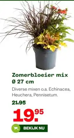 Welkoop Zomerbloeier mix aanbieding