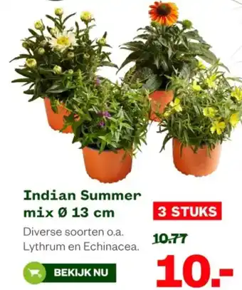 Welkoop Indian Summer mix aanbieding