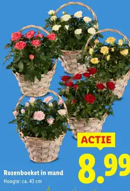 Lidl Rozenboeket in mand aanbieding