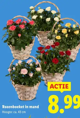 Lidl Rozenboeket in mand aanbieding