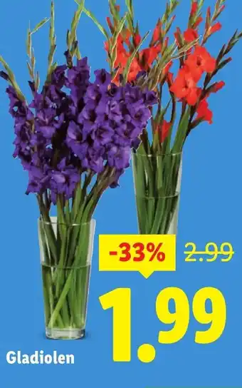 Lidl Gladiolen aanbieding