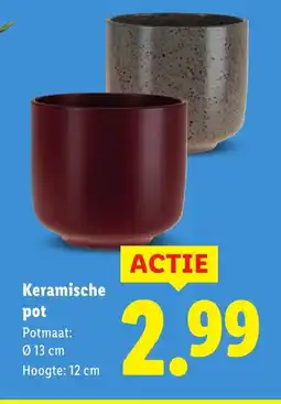Lidl Keramische pot aanbieding