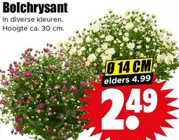 Dirk Bolchrysant aanbieding