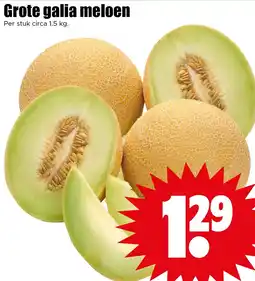Dirk Grote galia meloen aanbieding