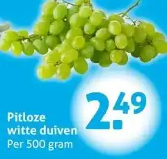 Hoogvliet Pitloze witte duiven aanbieding