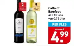 Hoogvliet Gallo of Barefoot aanbieding