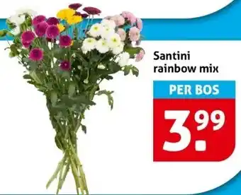 Hoogvliet Santini rainbow mix aanbieding