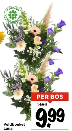 Vomar Voordeelmarkt Veldboeket Luna aanbieding